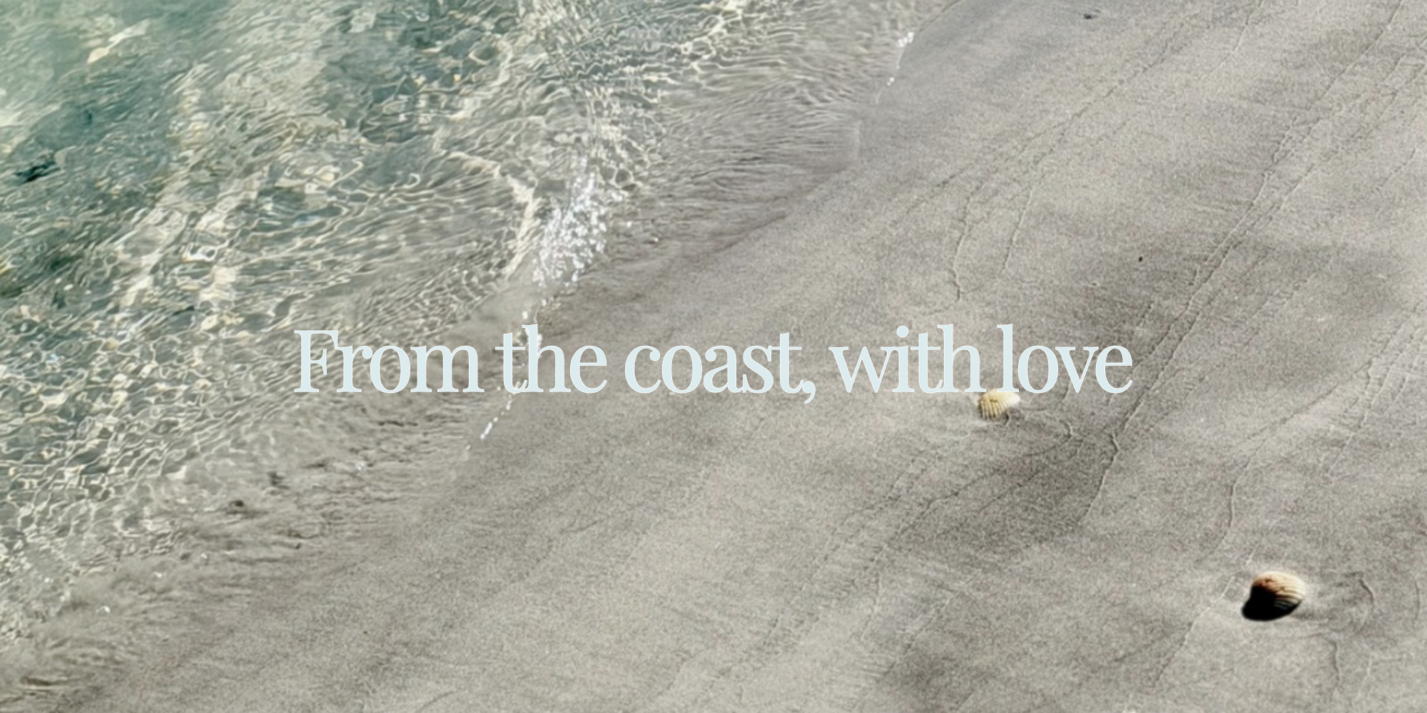 From the Coast, With Love — This Week’s Finds 🌊