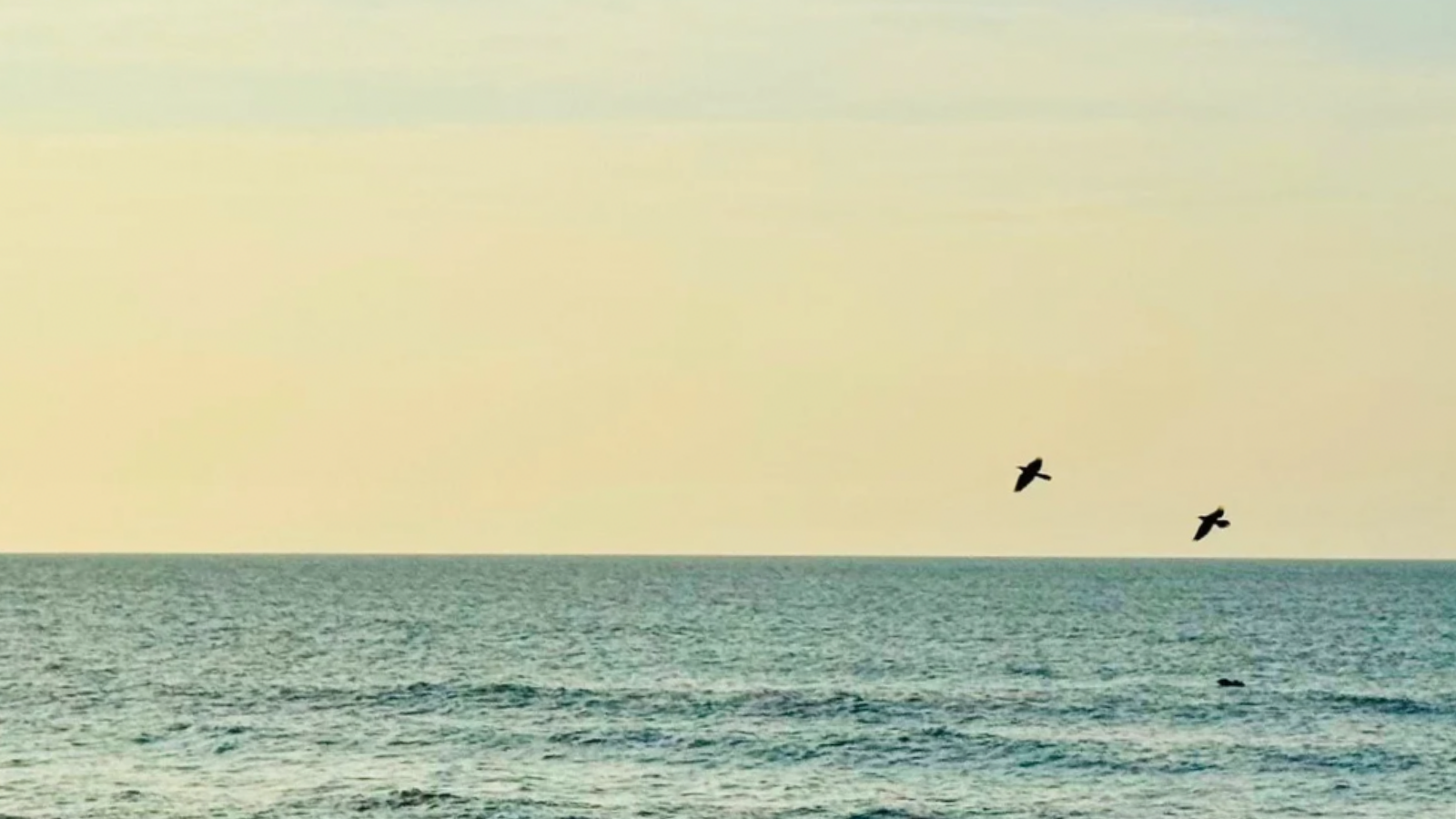 Sixty + Saltwater: Collected Along the Way