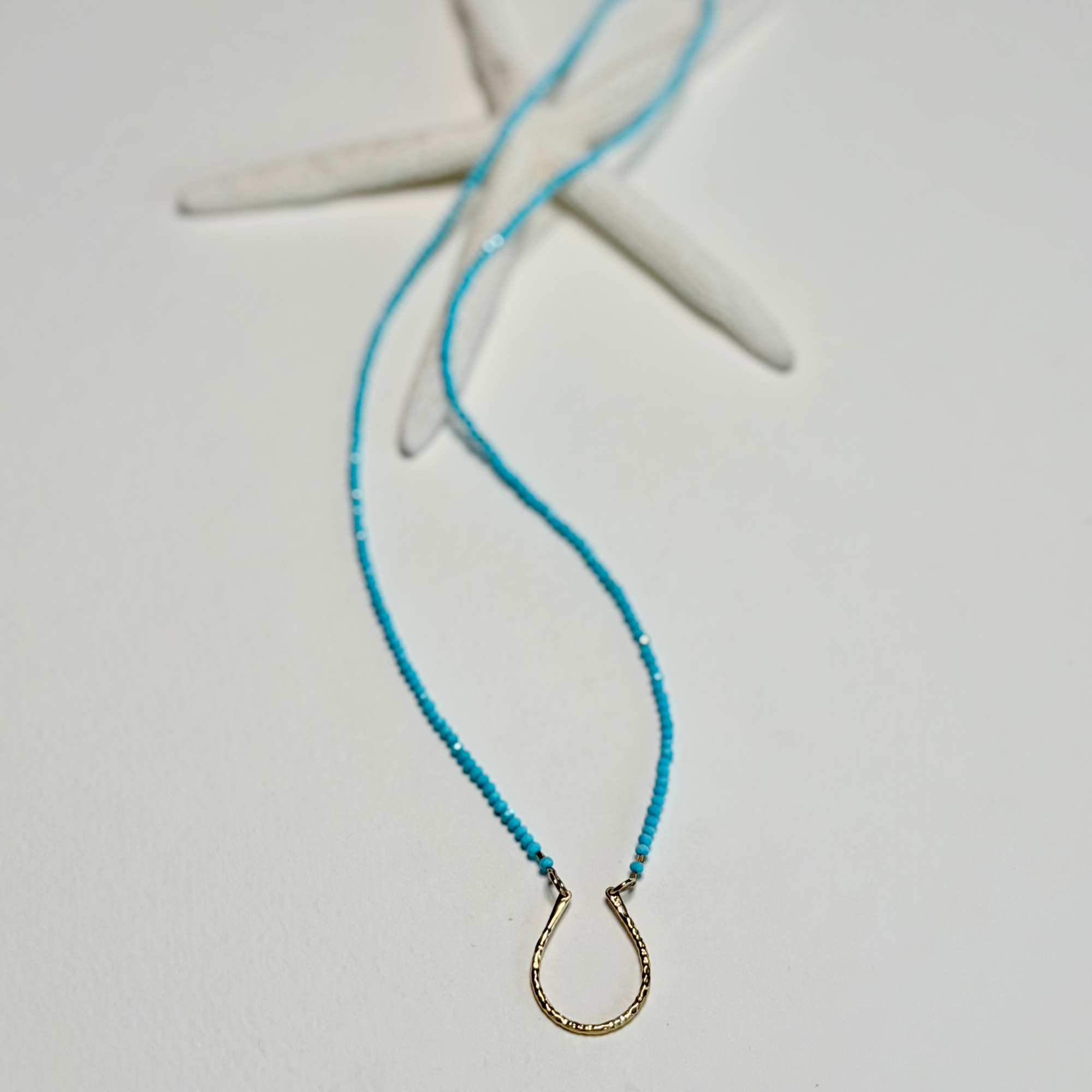 Arizona Blue Turquoise Horseshoe Necklace