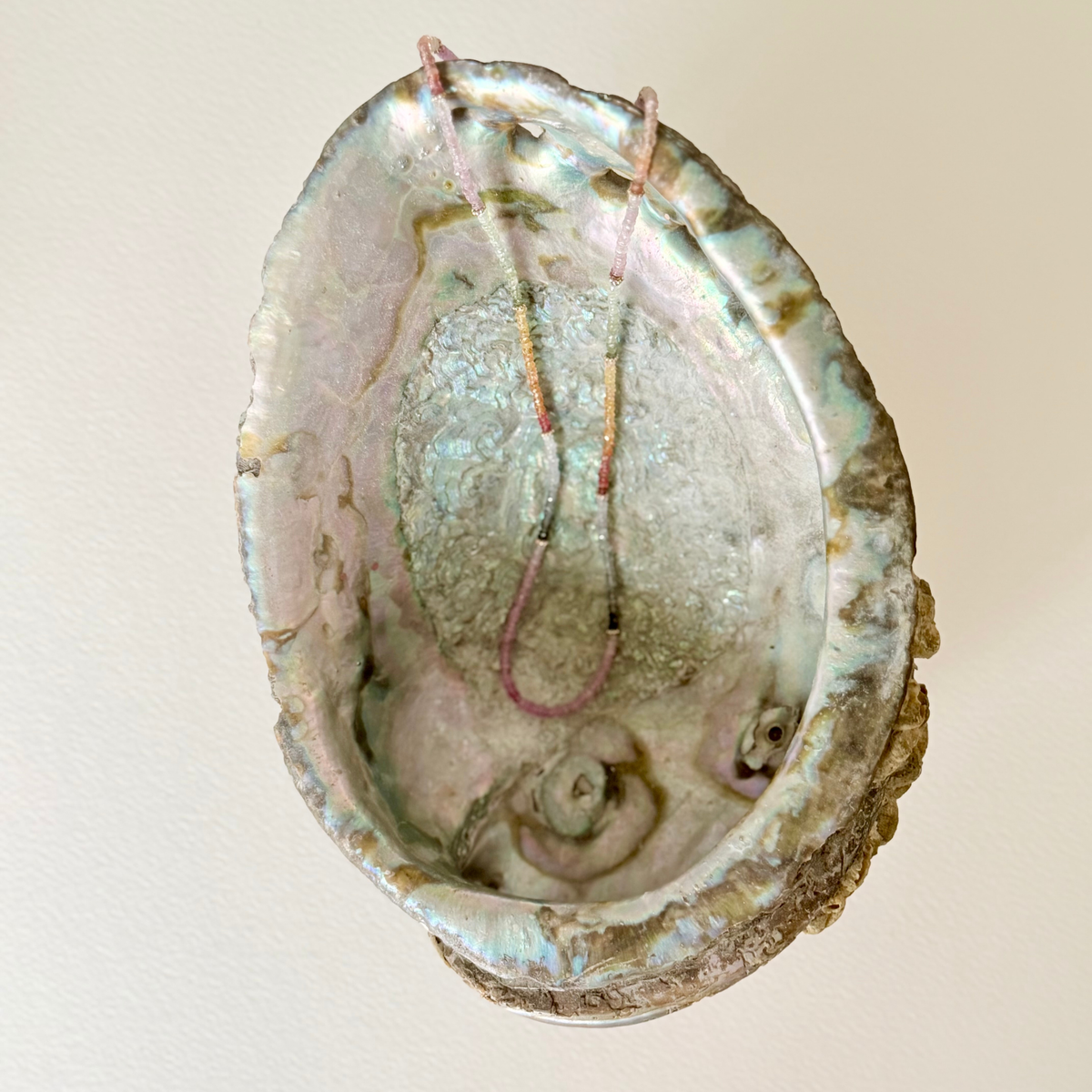 multi colored sapphire necklace on an abalone shell
