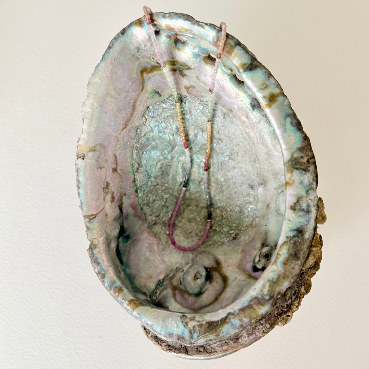multi colored sapphire necklace styled within a large abalone shell
