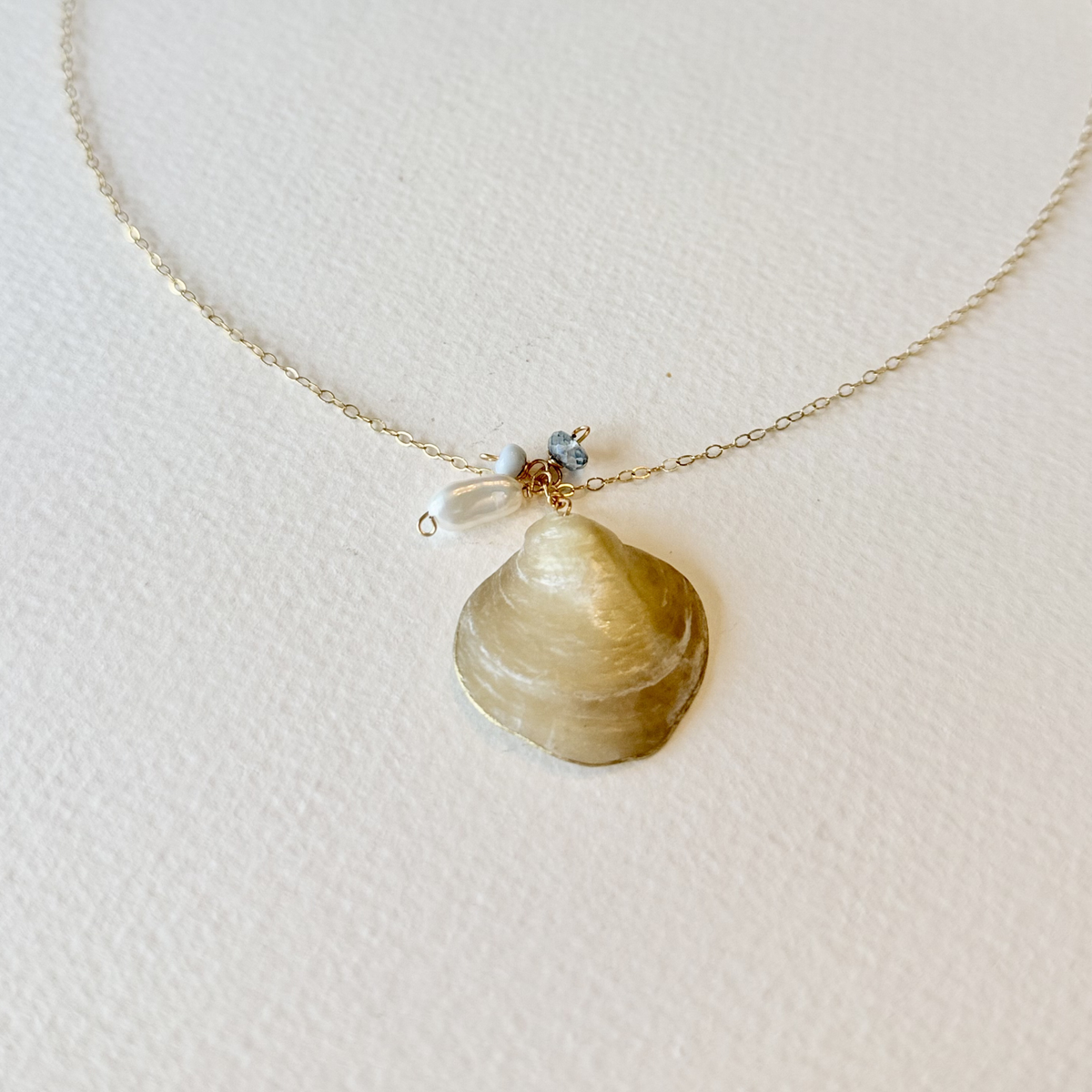 Necklace with a shell pendant on a light background
