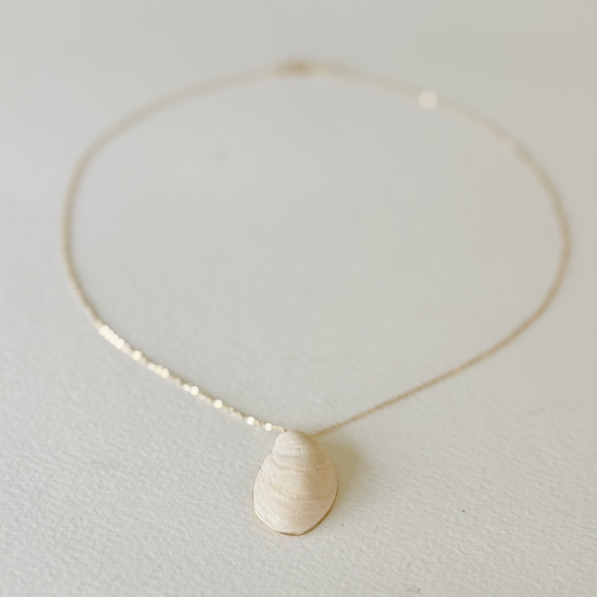 Necklace with a shell pendant on a light gray background