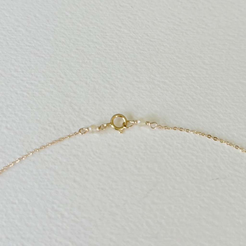 Gilded by the Sea — Saltwater Drop Shell Necklace