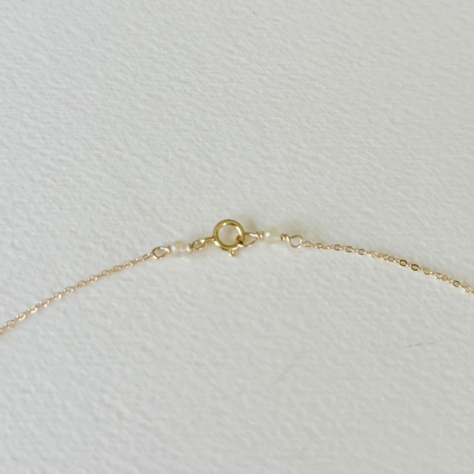 Gilded by the Sea — Saltwater Drop Shell Necklace