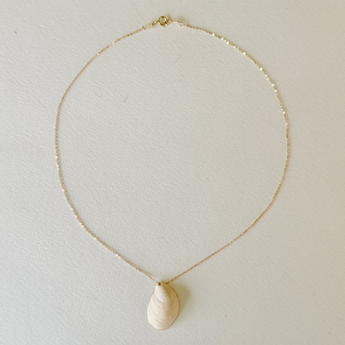 Necklace with a shell pendant on a light gray background
