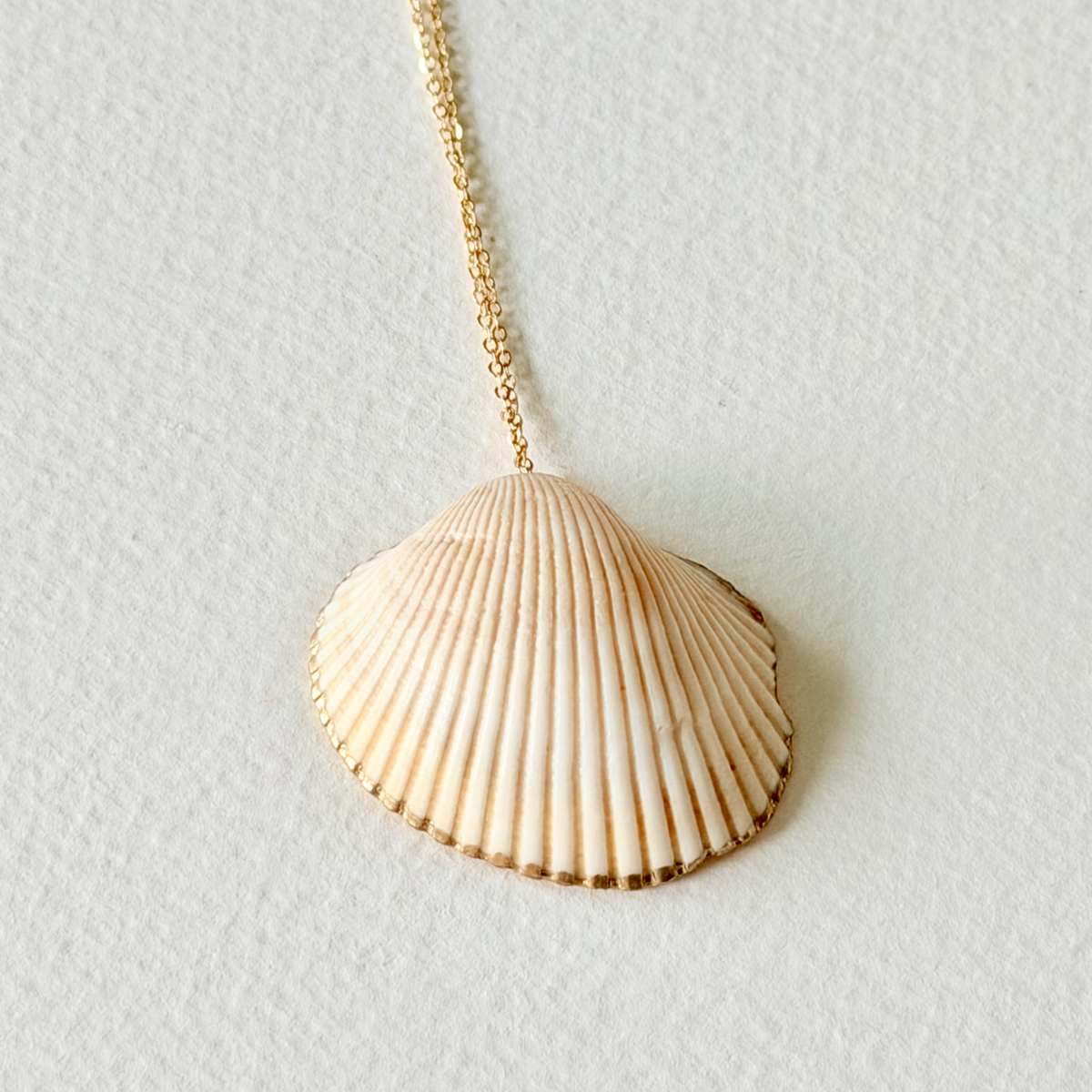 Shell pendant necklace on a light gray background