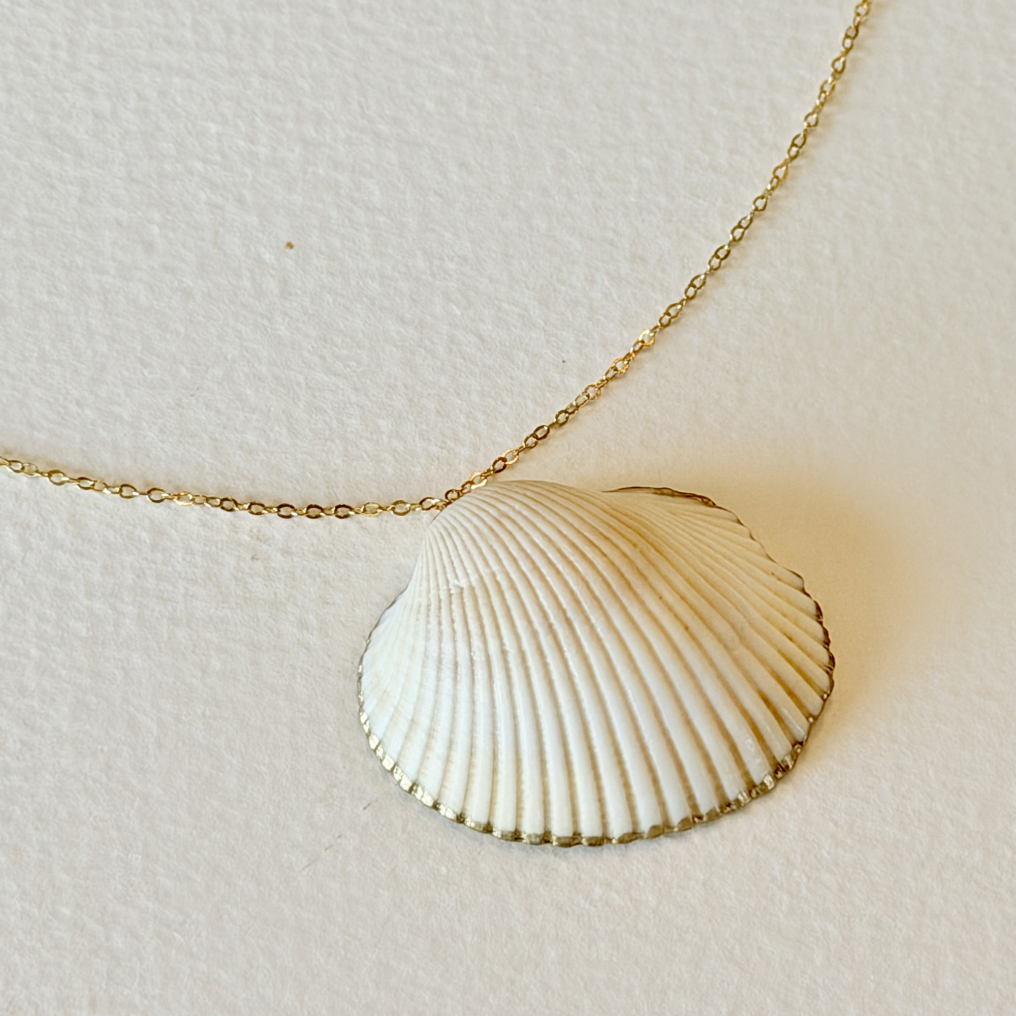 Gilded by the Sea Scallop Shell Necklace