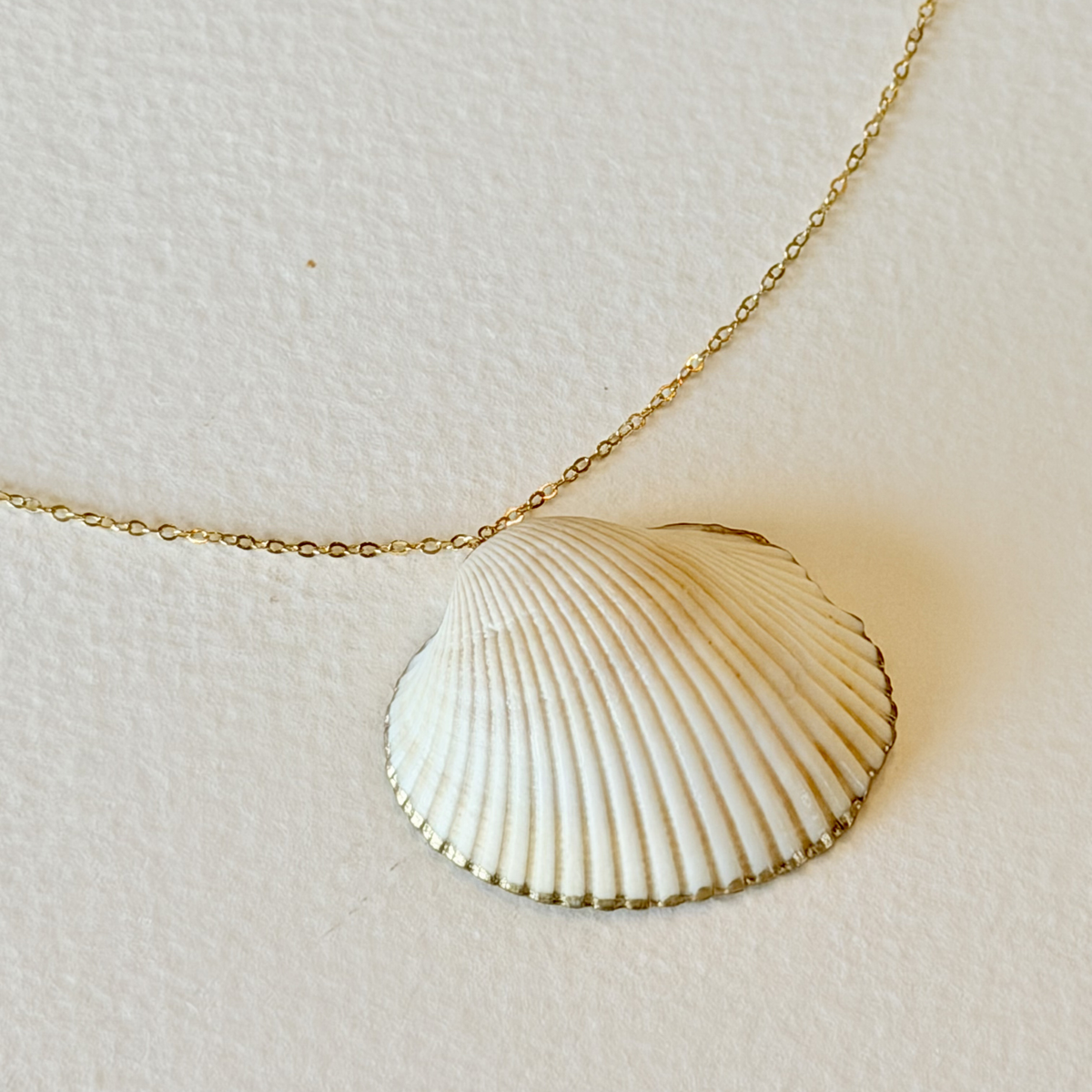 Necklace with a shell pendant on a light background