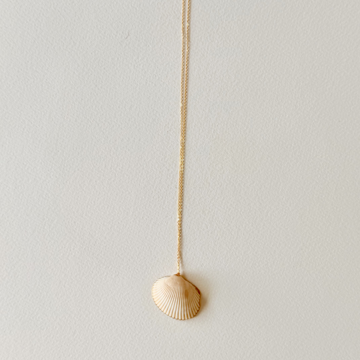 Gold necklace with a shell pendant on a light gray background