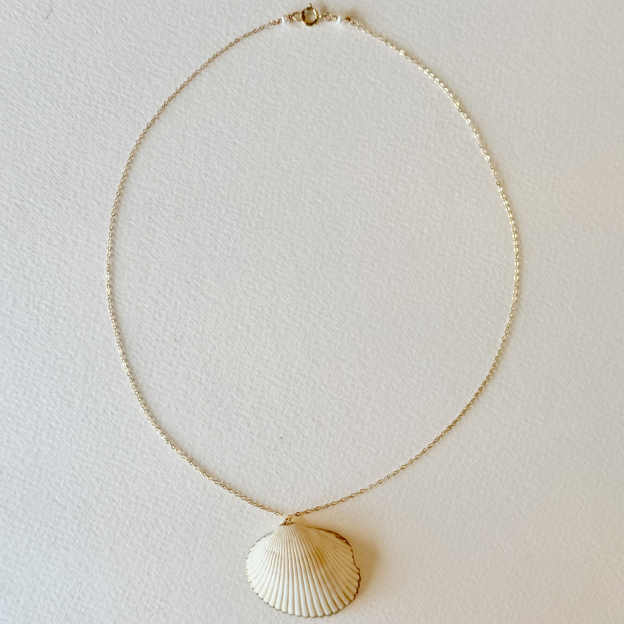 Necklace with a shell pendant on a light background