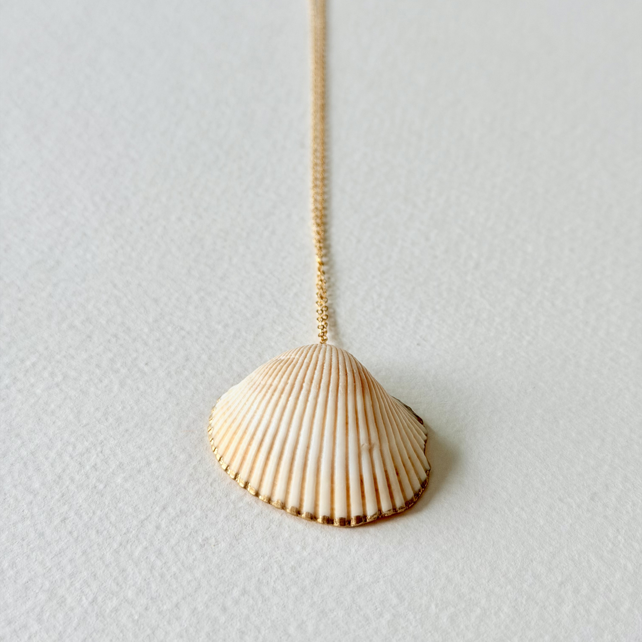 Shell pendant necklace on a light gray background