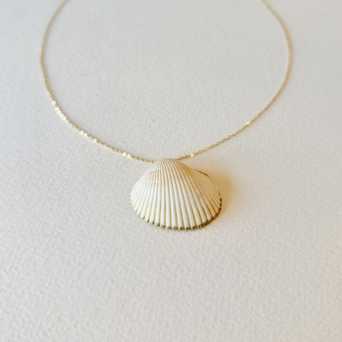 Necklace with a shell pendant on a light background