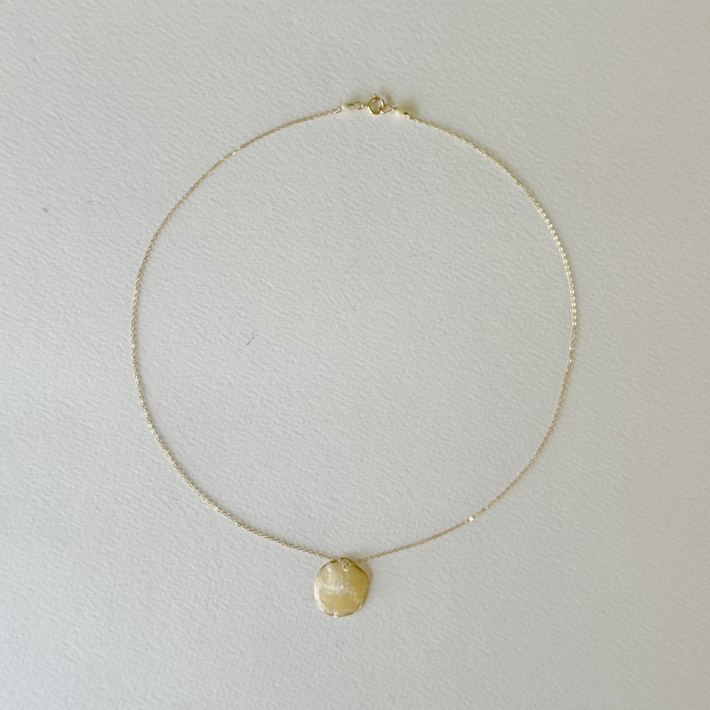 Gilded by the Sea — Sun Disc Shell Necklace