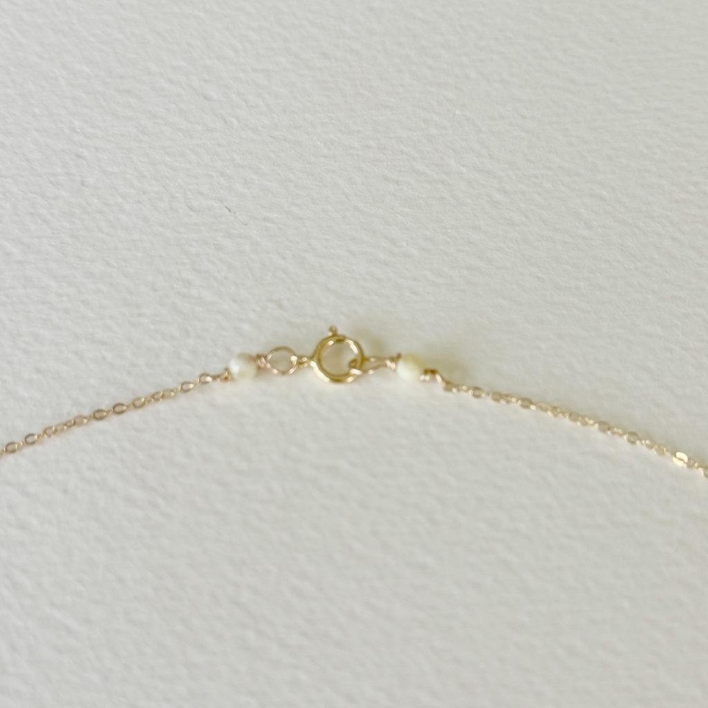 Gilded by the Sea — Sun Disc Shell Necklace