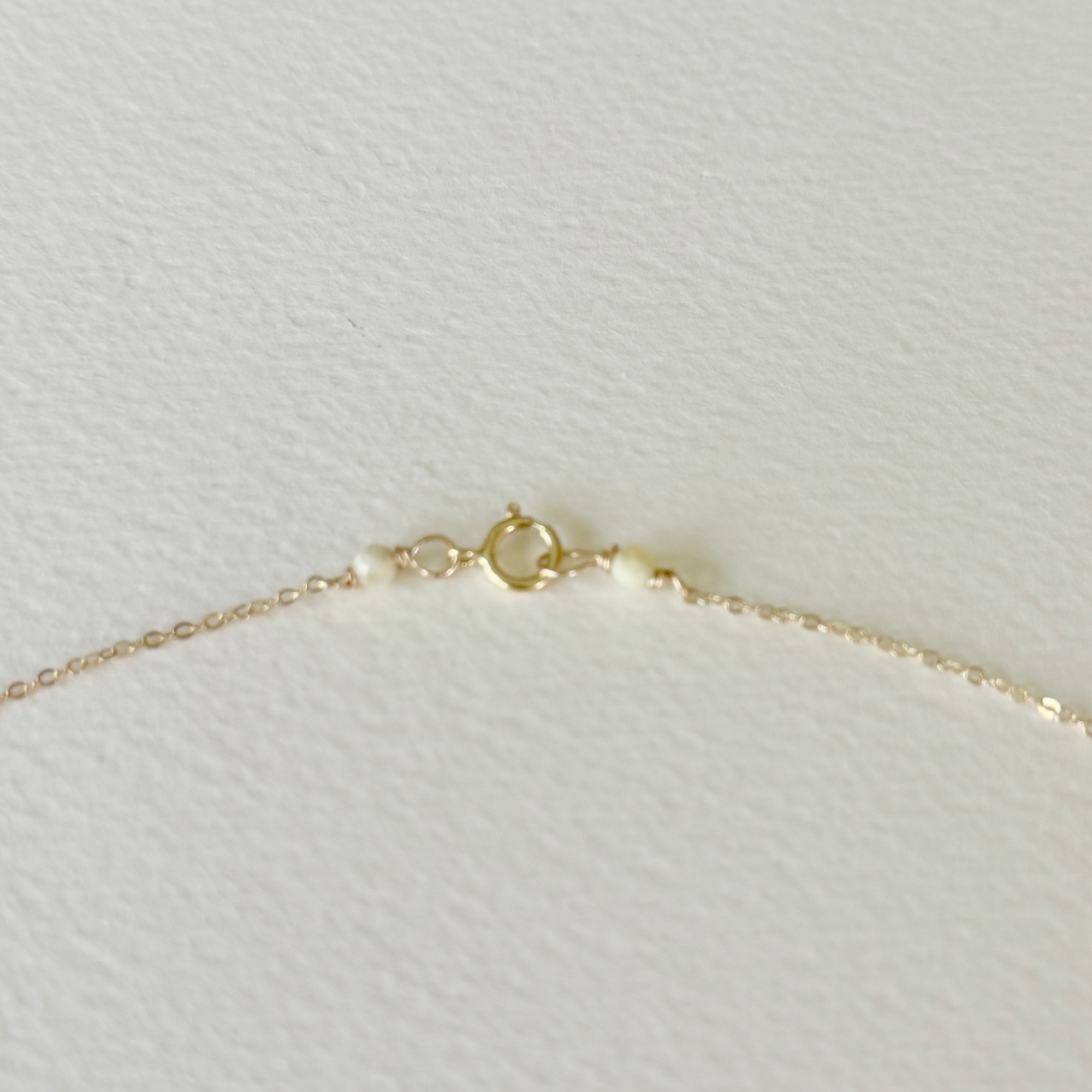 Gilded by the Sea — Sun Disc Shell Necklace