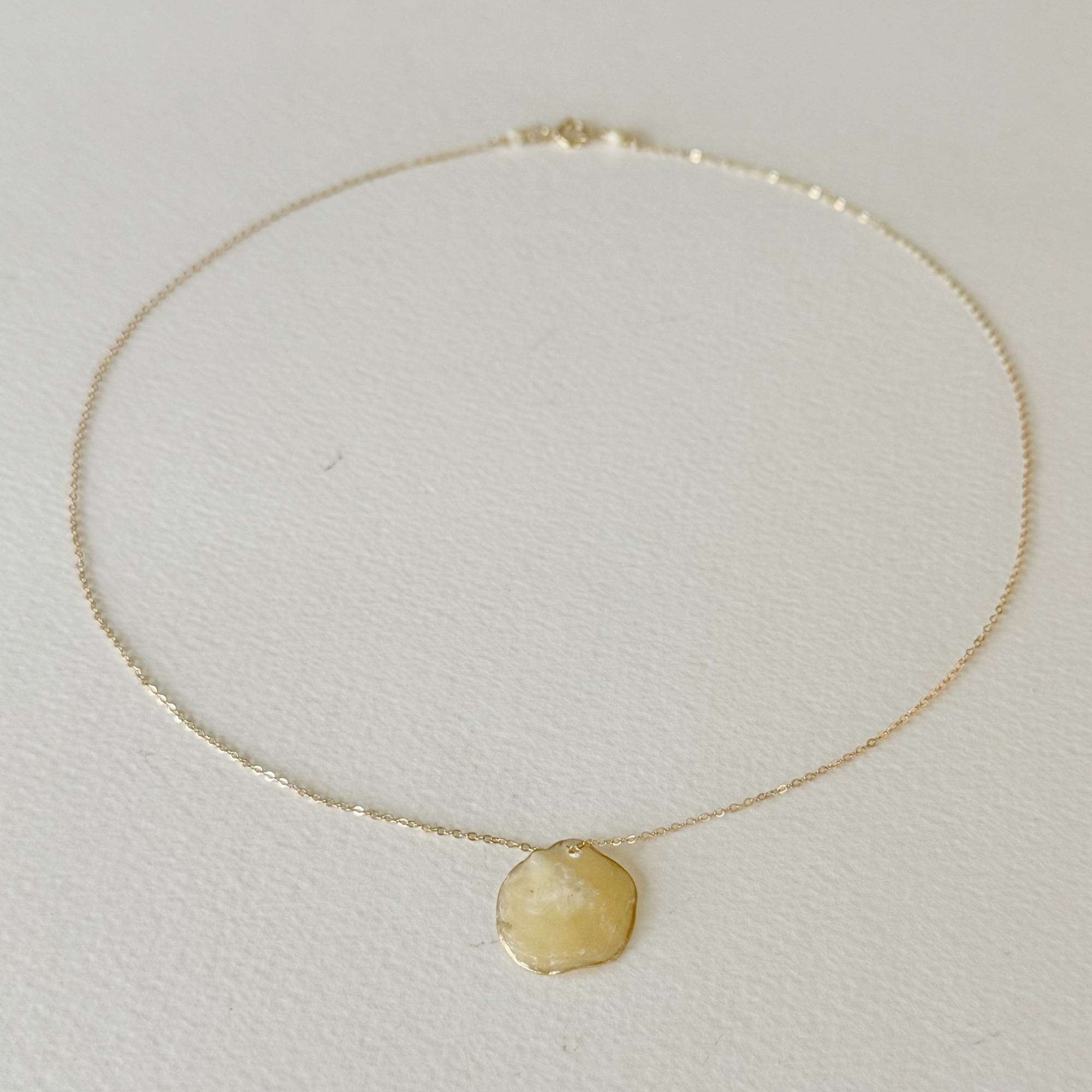 Gilded by the Sea — Sun Disc Shell Necklace
