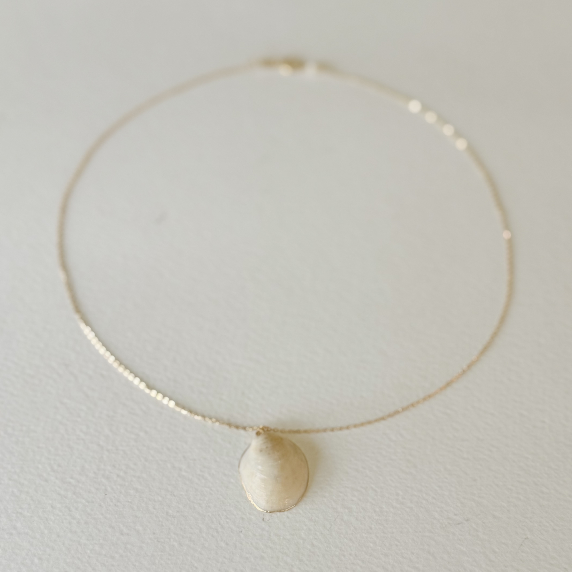Gilded by the Sea — Tidepool Shell Necklace