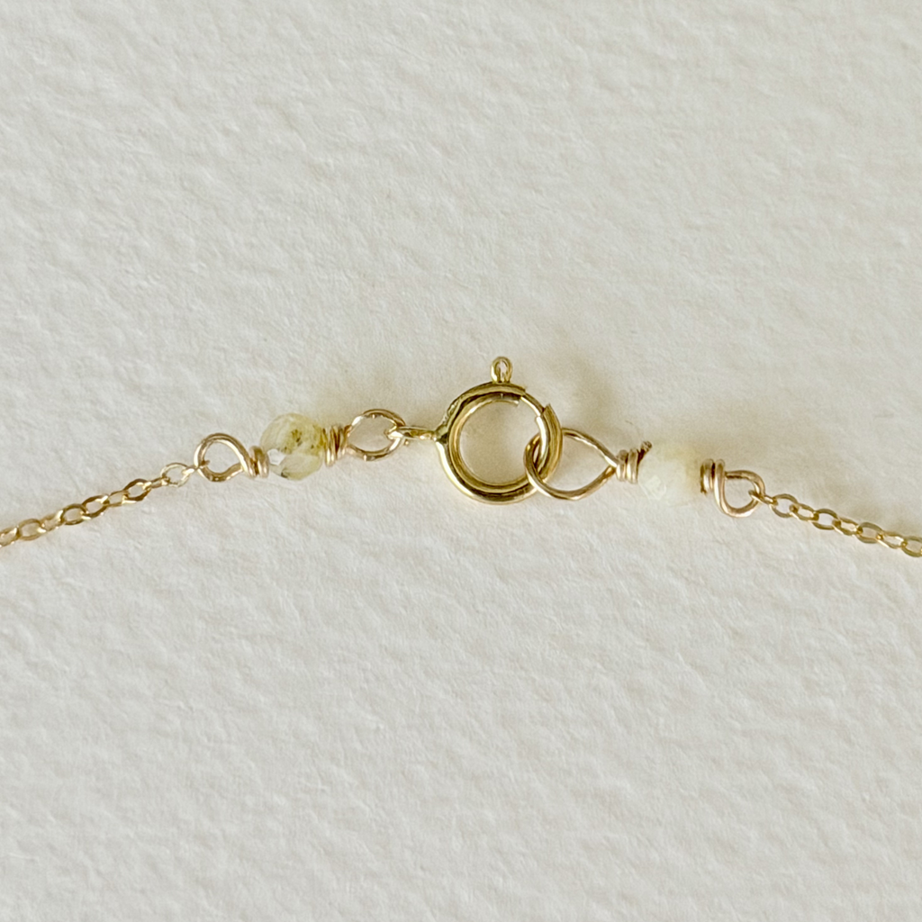 Gilded by the Sea — Tidepool Shell Necklace