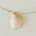Necklace with a shell pendant on a light background