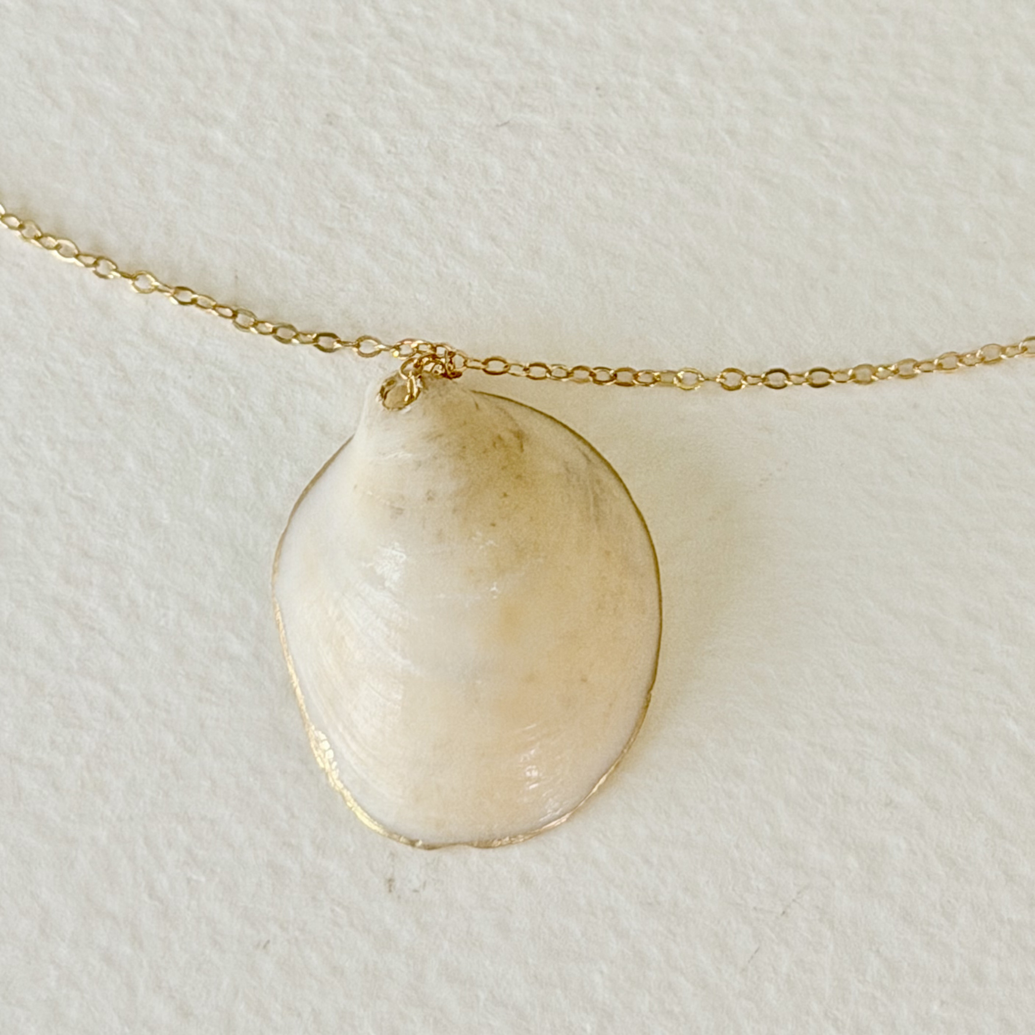 Necklace with a shell pendant on a light background