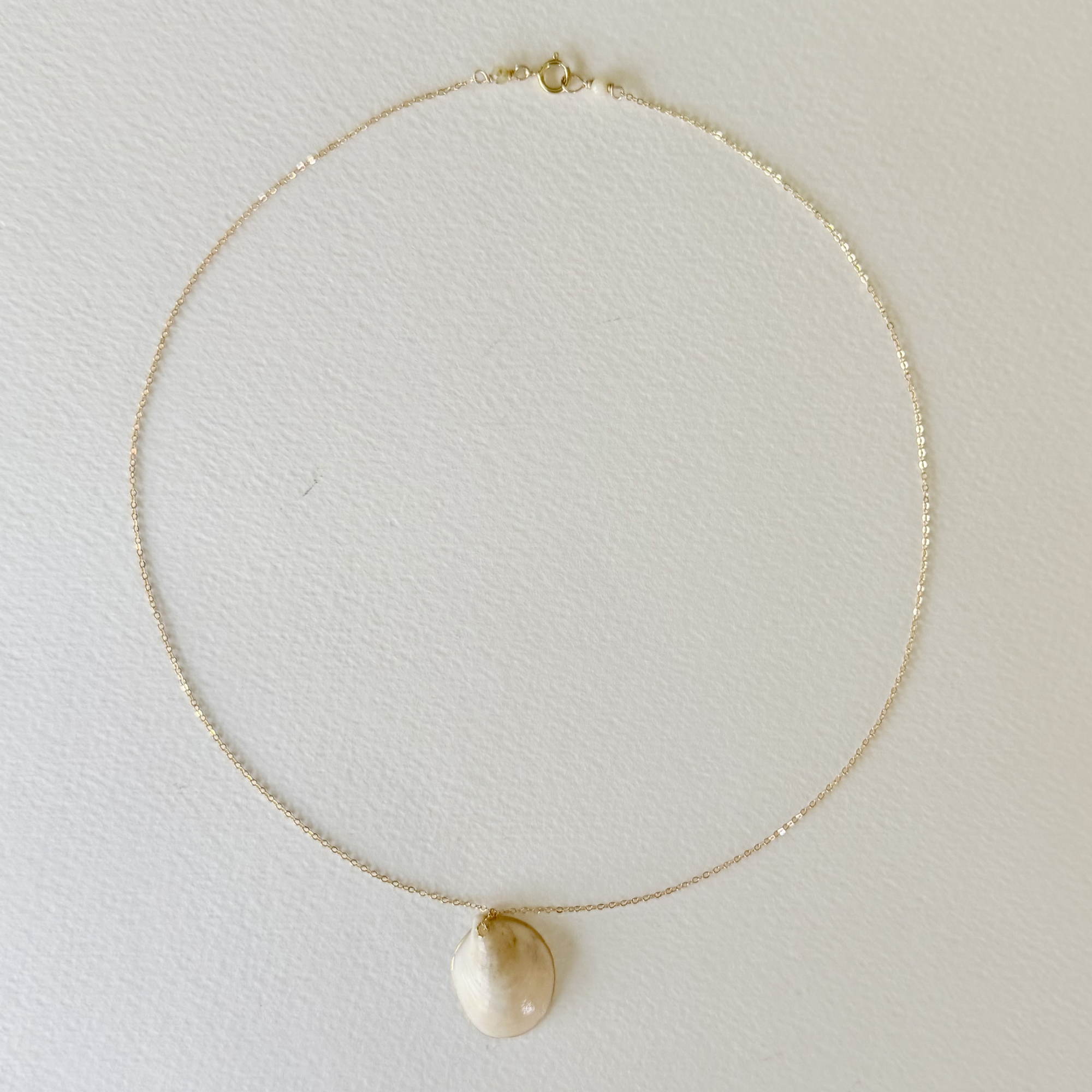 Gilded by the Sea — Tidepool Shell Necklace