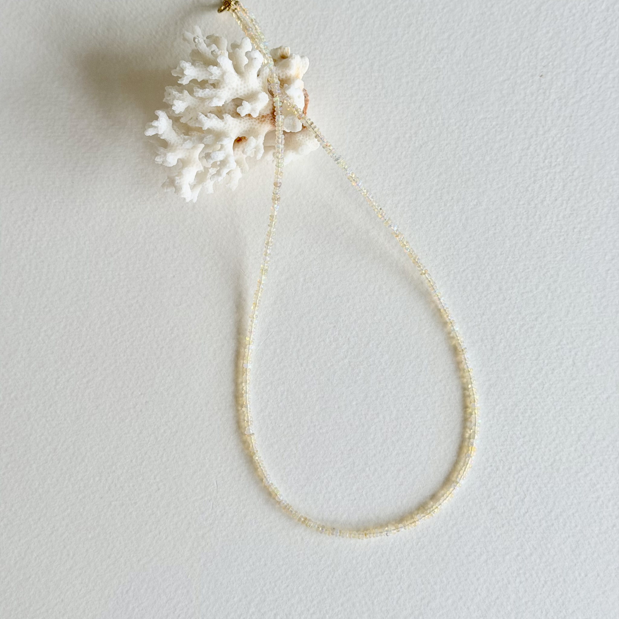A delicate gold chain necklace with a small white coral shell pendant, displayed on a textured off-white background.