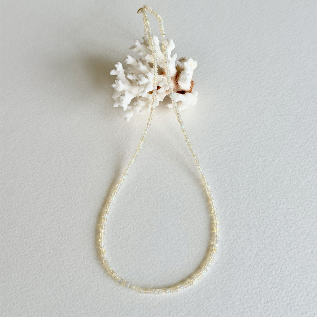 A delicate pearl necklace with a white coral shell pendant, displayed on a textured off-white background.