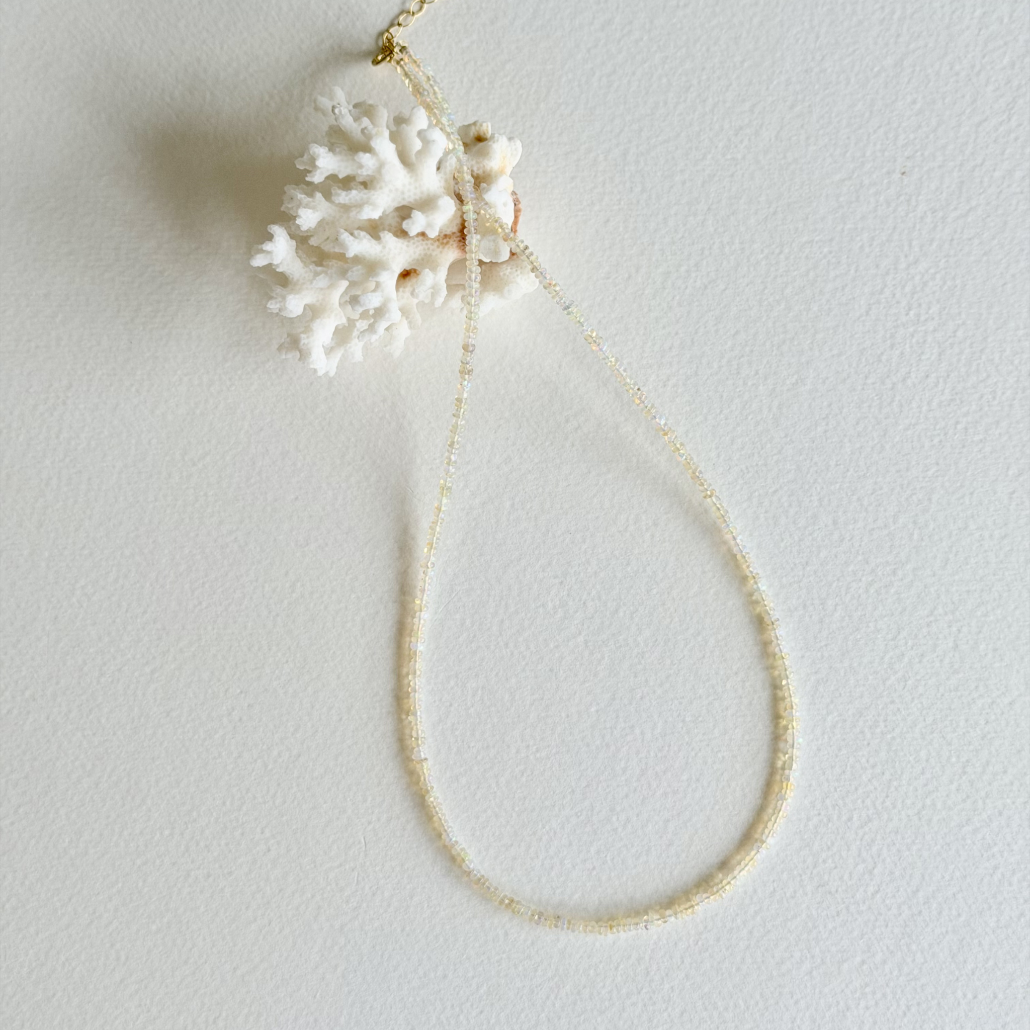 A delicate golden ethiopian necklace with a white coral shell pendant, displayed on a textured off-white background.