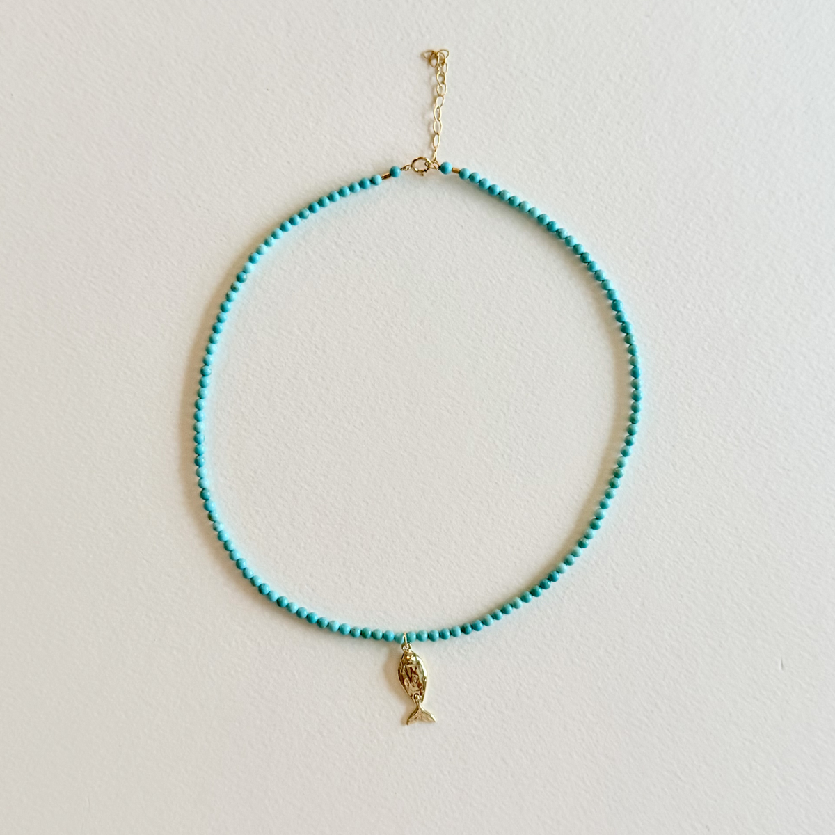 Little Catch Smooth Turquoise Necklace on light background