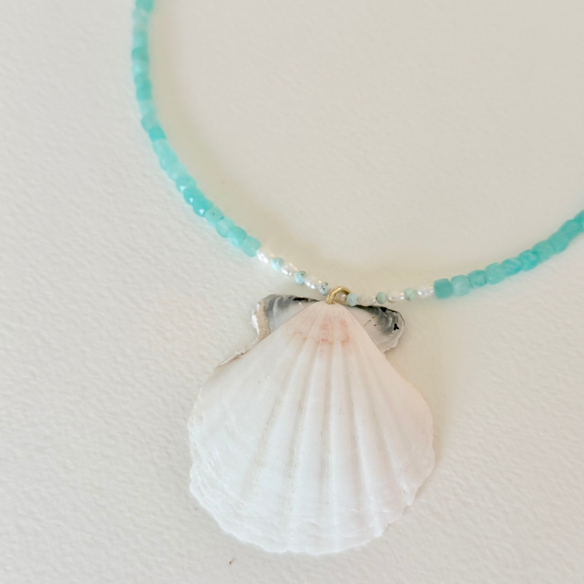 Necklace with a shell pendant on a white background