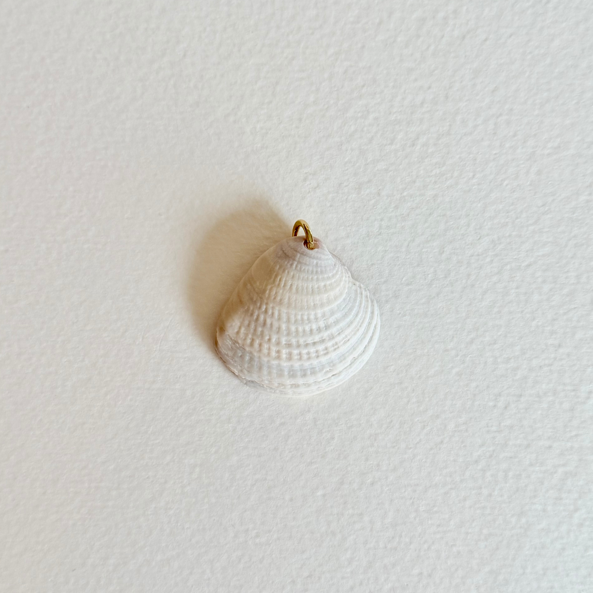 White shell pendant on a textured white background