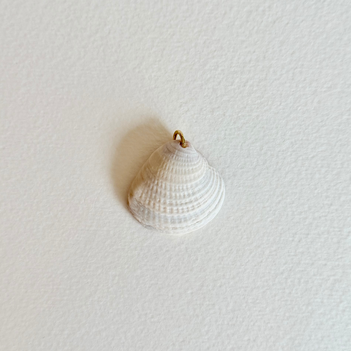 White shell pendant on a textured white background