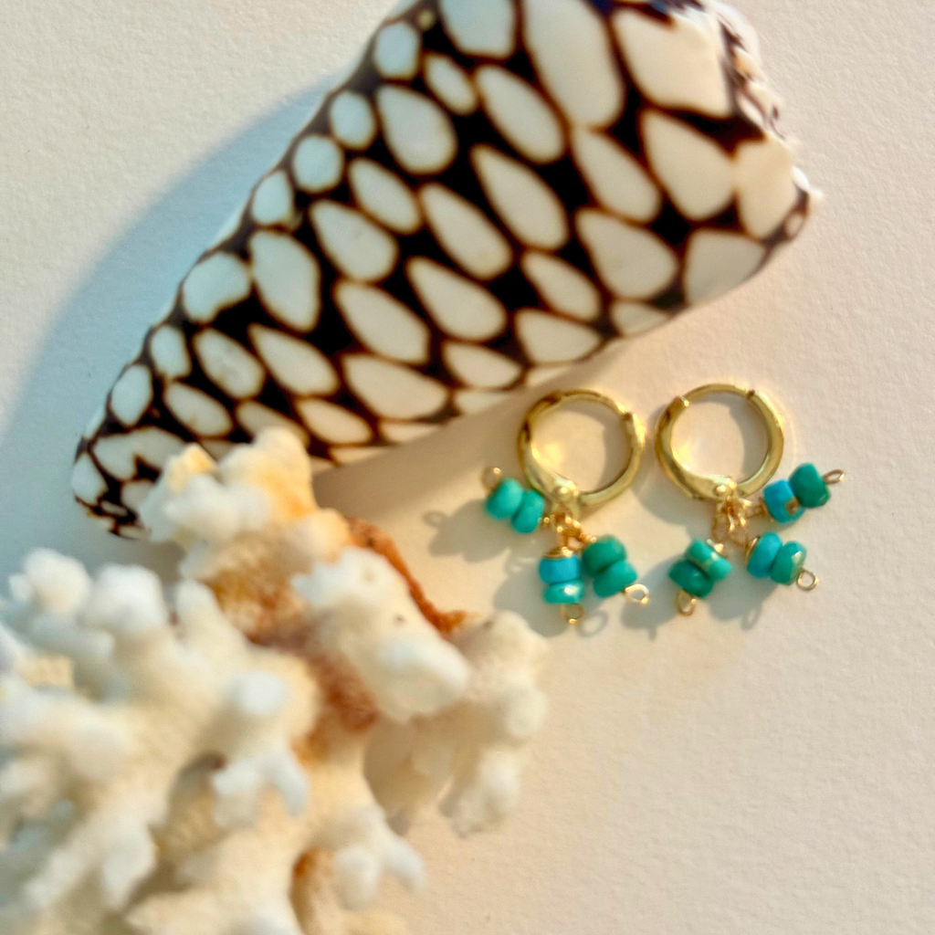 Zoomed out view of a pair of earrings with a trio of genuine sleeping beauty turquoise on each hoop handcrafted with 14k gold-filled wire huggie clasp. Displayed between creamy white coral and brown and white spotted shell.